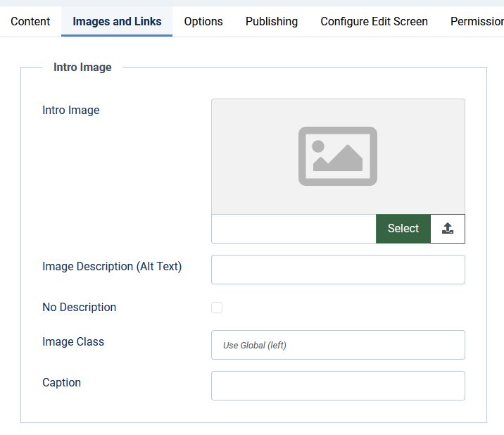 Intro Image insert